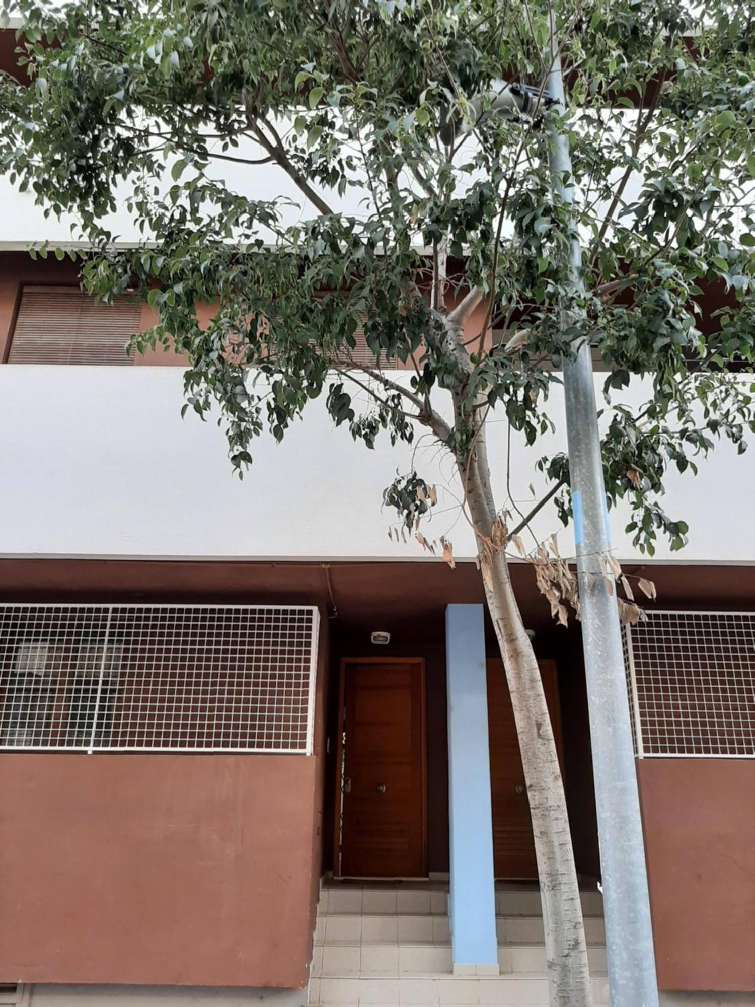 Casa Lliri Con Piscina En Massalfassar Valencia Apartment Exterior photo